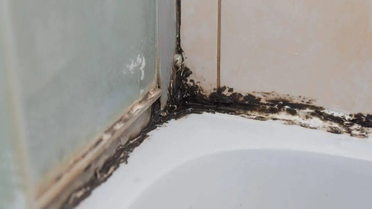 Attenzione alle fughe nere del bagno: ecco il rischio per la salute