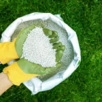 Quando concimare il prato? I consigli degli esperti