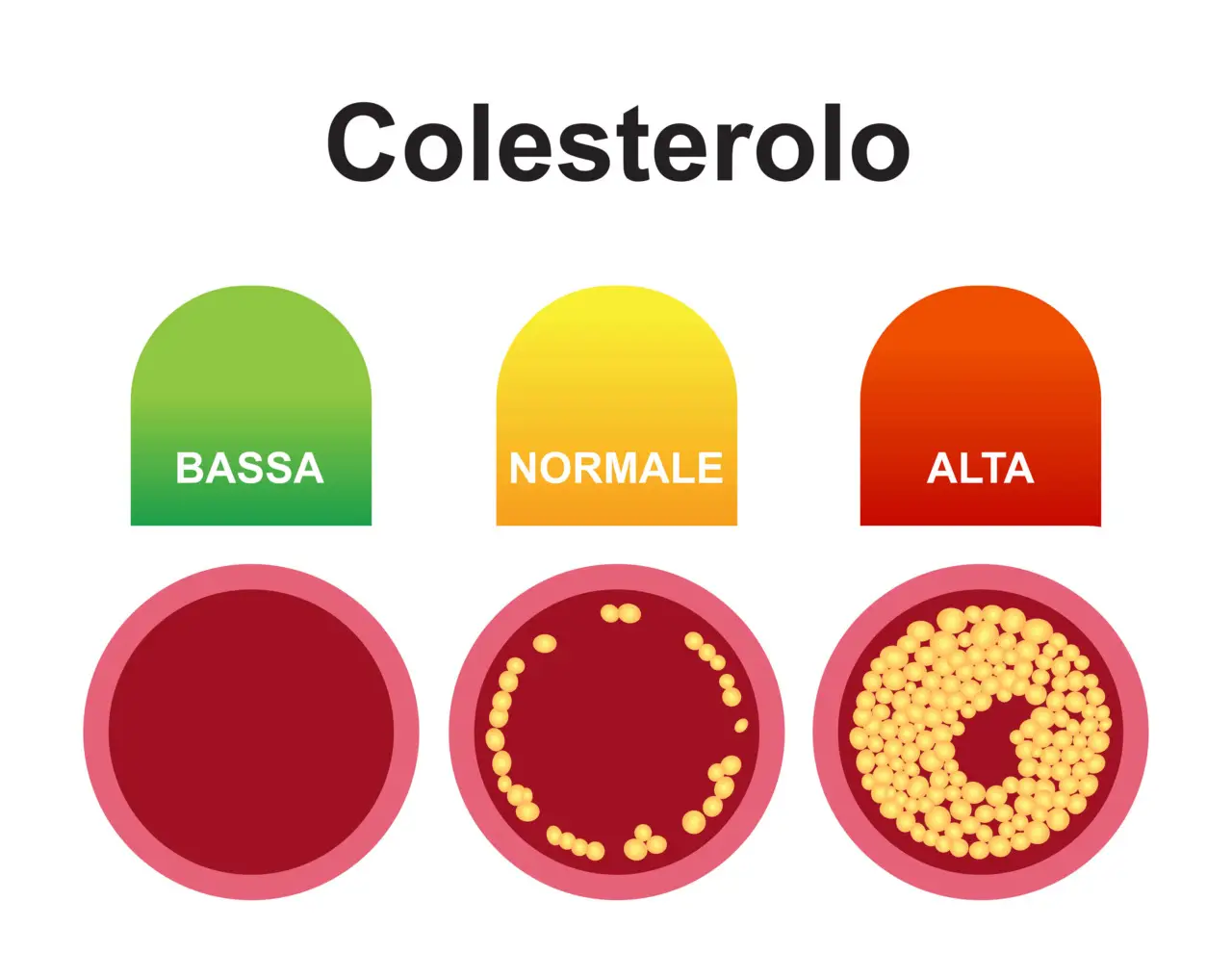 Cosa fare per ridurre il colesterolo HDL alto? Le strategie efficaci