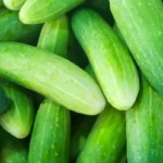 Perché il cetriolo è amaro? L’errore che in molti commettono
