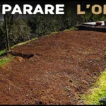 Come preparare il terreno per le semine di primavera: il trucco dei giardinieri