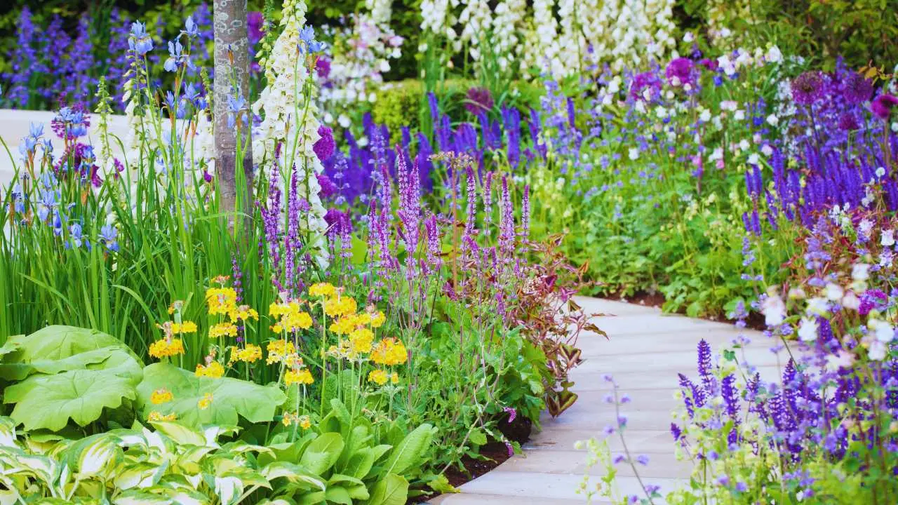 Come creare un giardino a bassa manutenzione? Le strategie vincenti