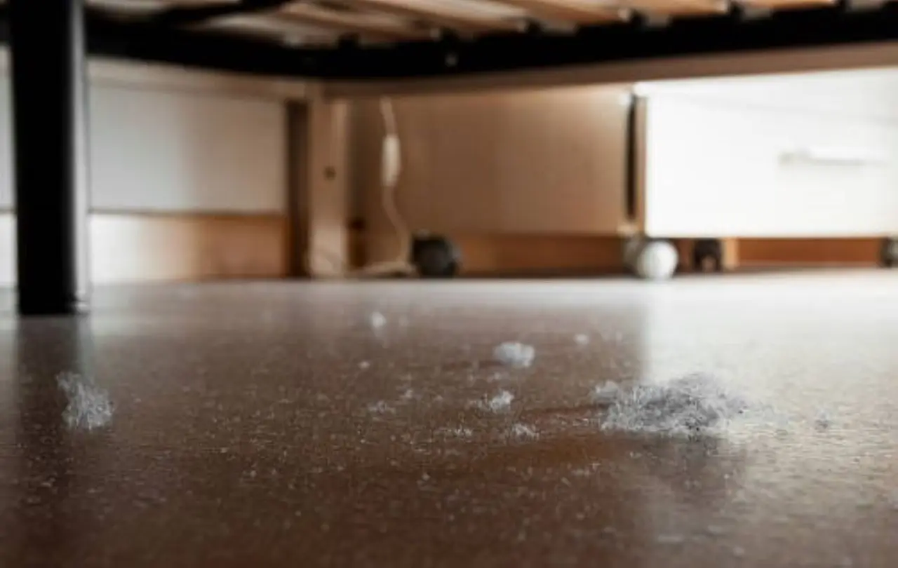 Come eliminare la polvere in modo duraturo? Il trucco dei professionisti