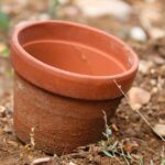 Immagine di vasi con terriccio universale, evidenziando la differenza con la terra da giardino.