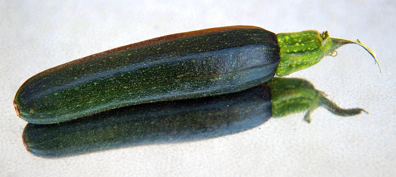 Zucchine immature in un orto, evidenziando il problema dell'impollinazione manuale.